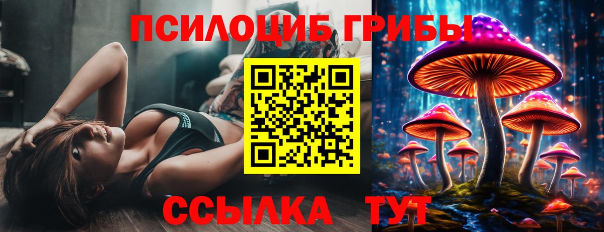 Галлюциногенные грибы MAGIC MUSHROOMS  Псилоцибиновые грибы мухоморы  Вятские Поляны  Вход с VPN 